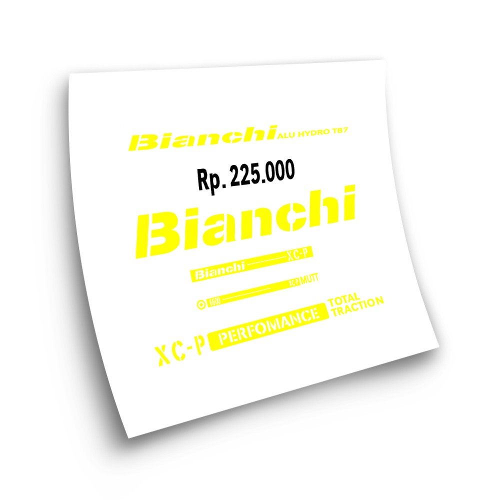 Bianchi mod-1 bike frame...