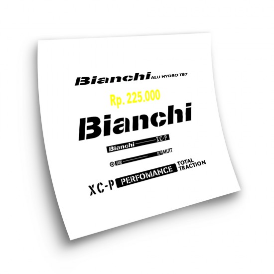 Fietsframe Stickers Bianchi Model 2 - Star Sam