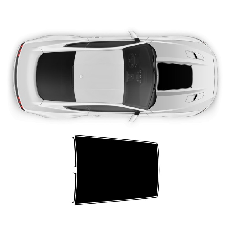 Adesivi Roush Hood Scoop /...