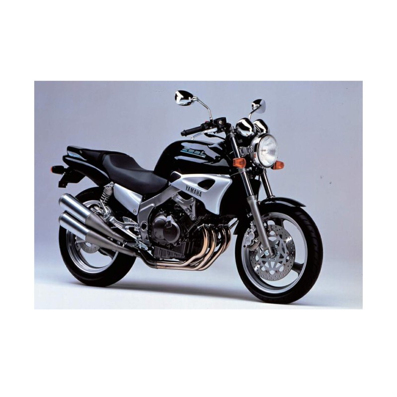 Adesivi Per Moto Da Strada Yamaha FZX 250 Zeal Nero - Star Sam